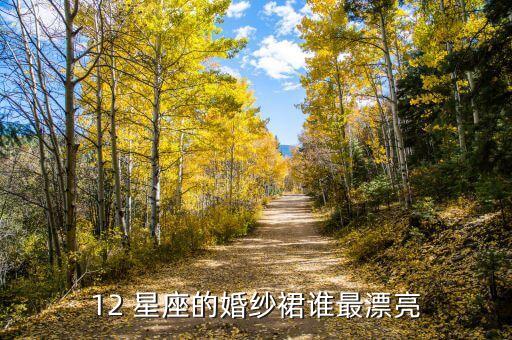 12 星座的婚纱裙谁最漂亮