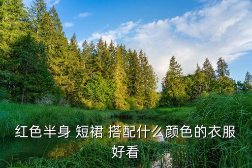 红色半身 短裙 搭配什么颜色的衣服好看