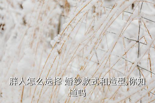 胖人怎么选择 婚纱款式和造型,你知道吗
