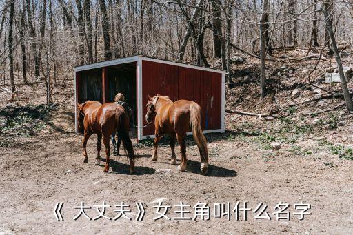 大丈夫中李小冉的裙子,大丈夫"谁演的?李小冉揭晓