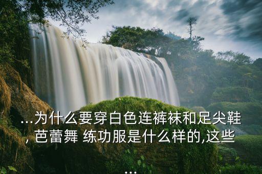 淘宝网芭蕾舞练功穿的裙子,芭蕾舞入门教材