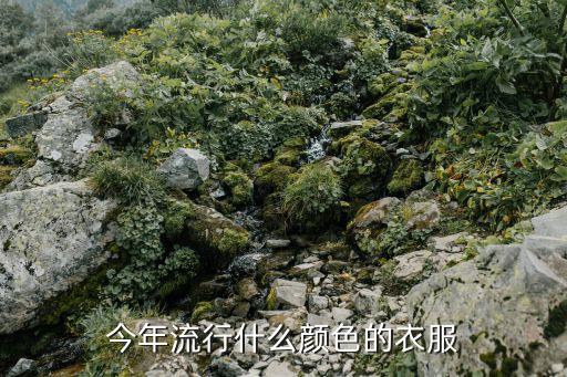 今年流行什么颜色的衣服
