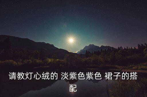 请教灯心绒的 淡紫色紫色 裙子的搭配