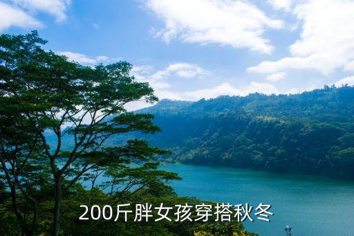 胖妹妹冬季裙子半身裙搭配
