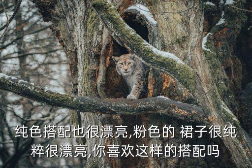 纯色搭配也很漂亮,粉色的 裙子很纯粹很漂亮,你喜欢这样的搭配吗