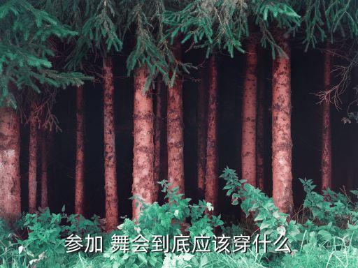 舞会礼服搭配裙子
