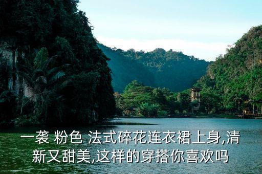 一袭 粉色 法式碎花连衣裙上身,清新又甜美,这样的穿搭你喜欢吗