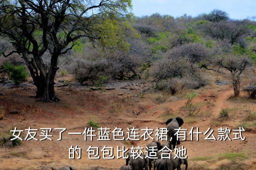 女友买了一件蓝色连衣裙,有什么款式的 包包比较适合她
