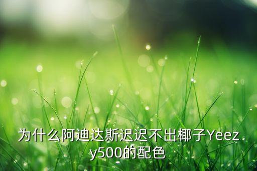 为什么阿迪达斯迟迟不出椰子Yeezy500的配色