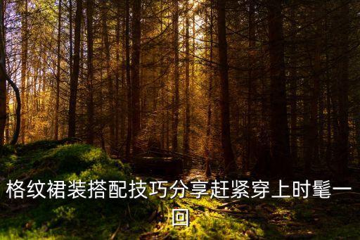 格纹裙装搭配技巧分享赶紧穿上时髦一回