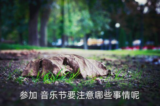 参加 音乐节要注意哪些事情呢
