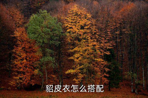 貂皮衣怎么搭配