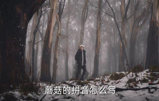  蘑菇的拼音怎么写