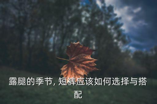 妇女短裤穿搭夏季裙子,牛仔裤短裤穿搭夏季