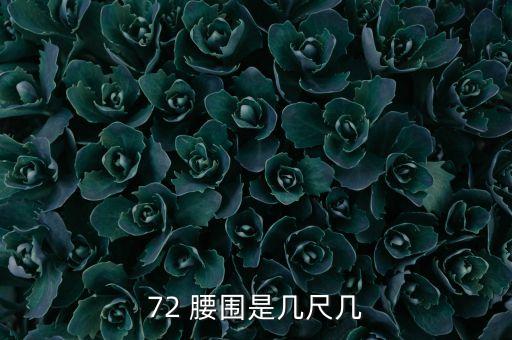 72 腰围是几尺几