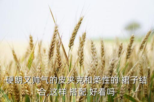 硬朗又帅气的皮夹克和柔性的 裙子结合,这样 搭配 好看吗