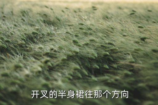  开叉的半身裙往那个方向
