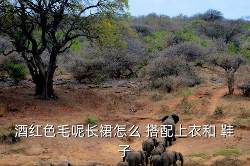 酒红色毛呢长裙怎么 搭配上衣和 鞋子