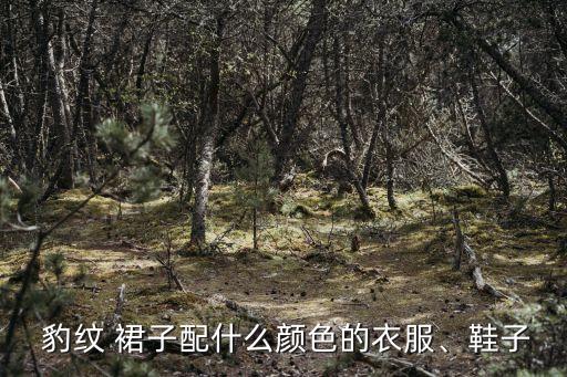  豹纹 裙子配什么颜色的衣服、鞋子