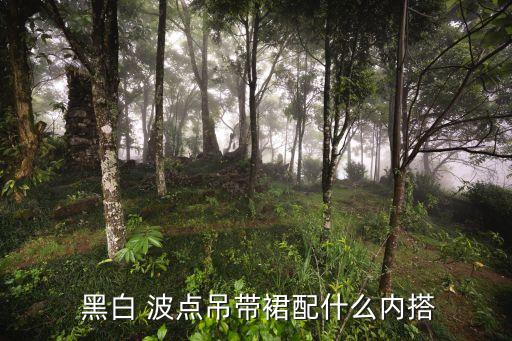  黑白 波点吊带裙配什么内搭