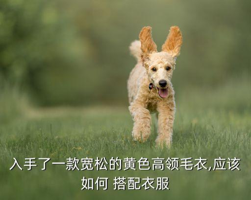 入手了一款宽松的黄色高领毛衣,应该如何 搭配衣服