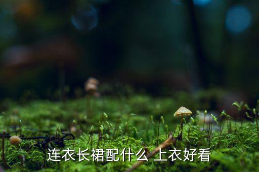 裙子怎么搭配 上衣,黑底白点裙子怎么搭配上衣