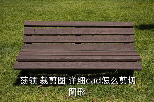 荡领裁剪图详细,最简单的荡领的裁剪方法