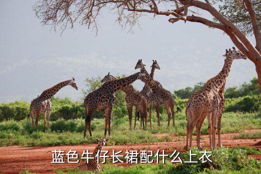 蓝色裙子内搭短袖穿搭,蓝色短袖配什么裙子好看