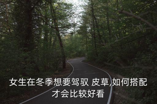 黑色裙子皮草穿搭