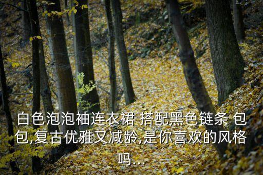 白色泡泡袖连衣裙 搭配黑色链条 包包,复古优雅又减龄,是你喜欢的风格吗...