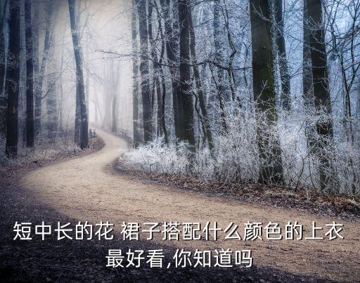 短中长的花 裙子搭配什么颜色的上衣最好看,你知道吗