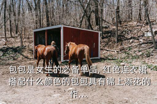 包包是女生的必备单品, 红色连衣裙 搭配什么颜色的包包具有锦上添花的作...
