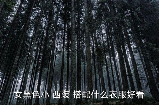 女黑色小 西装 搭配什么衣服好看