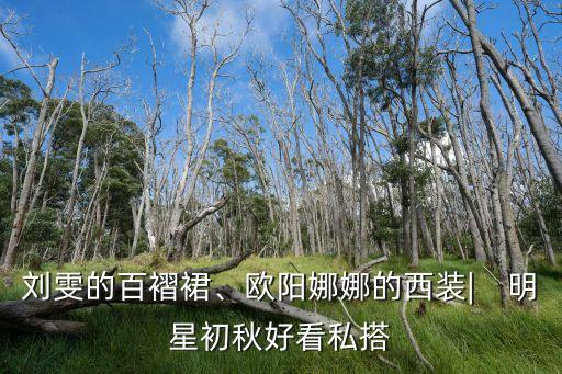 刘雯的百褶裙、欧阳娜娜的西装︳ 明星初秋好看私搭