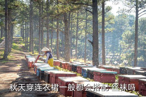 秋天穿连衣裙一般都会搭配 丝袜吗