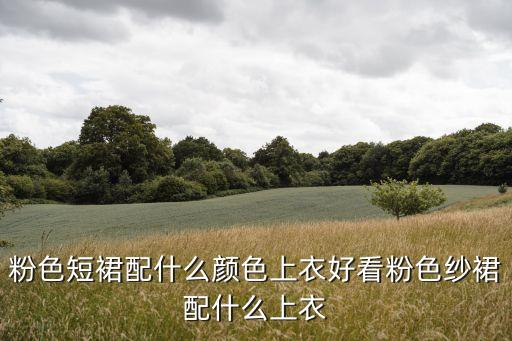 粉色短裙配什么颜色上衣好看粉色纱裙配什么上衣