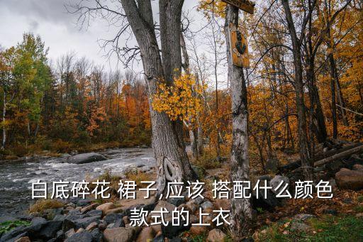 不良裙子怎么搭配,透明裙子怎么搭配