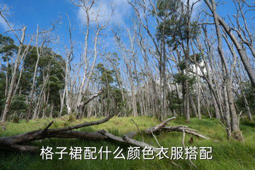 格子裙配什么颜色衣服搭配