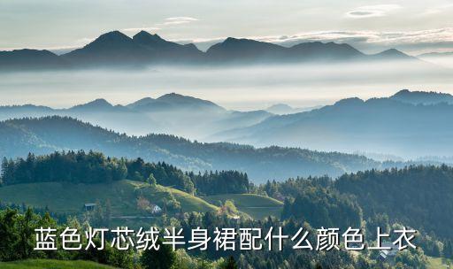 蓝色灯芯绒半身裙配什么颜色上衣