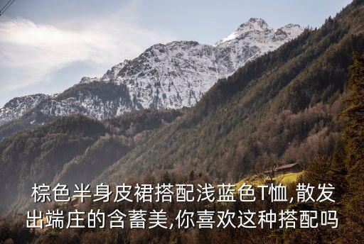  棕色半身皮裙搭配浅蓝色T恤,散发出端庄的含蓄美,你喜欢这种搭配吗