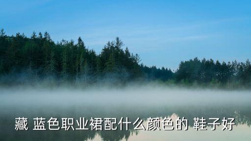 藏 蓝色职业裙配什么颜色的 鞋子好