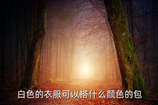 白色裙子搭配黑色包包,米色裙子搭配黑色包包好看吗