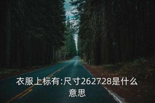 zara裙子26尺码对照表,大衣尺码参考160/80a推荐