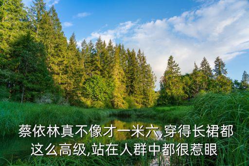  蔡依林真不像才一米六,穿得长裙都这么高级,站在人群中都很惹眼