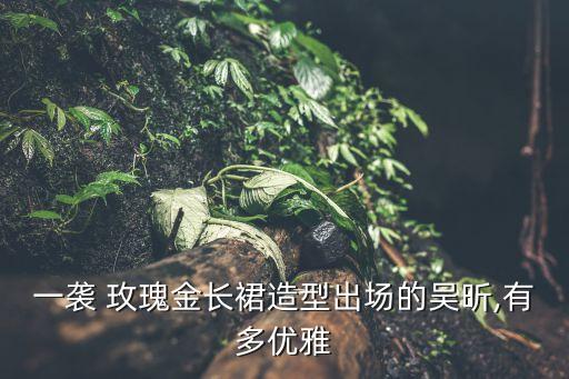 一袭 玫瑰金长裙造型出场的吴昕,有多优雅