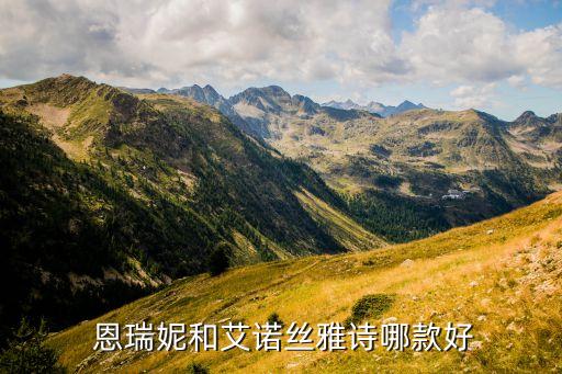  恩瑞妮和艾诺丝雅诗哪款好