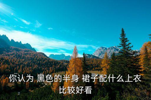 你认为 黑色的半身 裙子配什么上衣比较好看