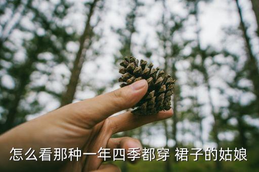 怎么看那种一年四季都穿 裙子的姑娘