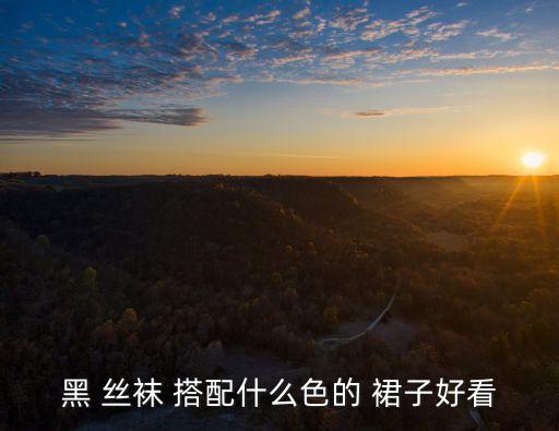 黑 丝袜 搭配什么色的 裙子好看