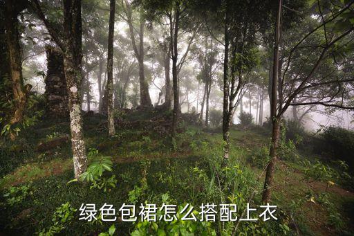  绿色包裙怎么搭配上衣